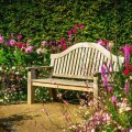Parkimpressionen 7